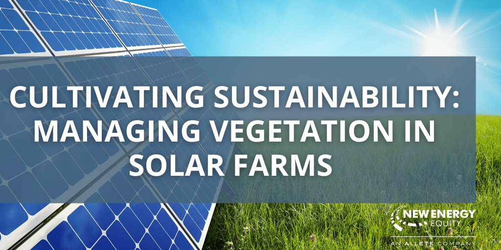 Cultivating Sustainability: Managing Vegetation in Solar Farms