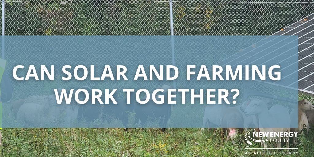 Can Solar and Farming Work Together?