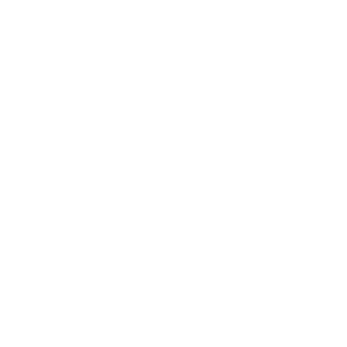 Core Values